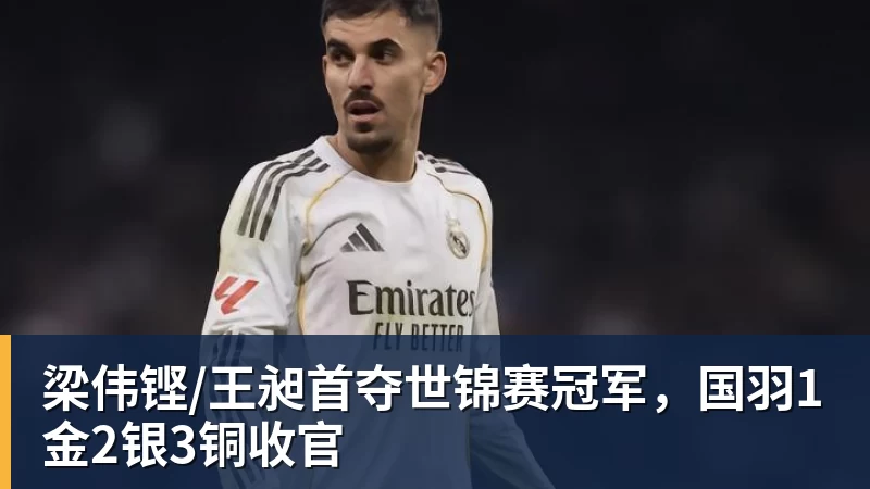 华体会体育梁伟铿/王昶首夺世锦赛冠军,国羽1金2银3铜收官